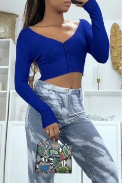 Gilet Court En Royal Avec Manches Longue